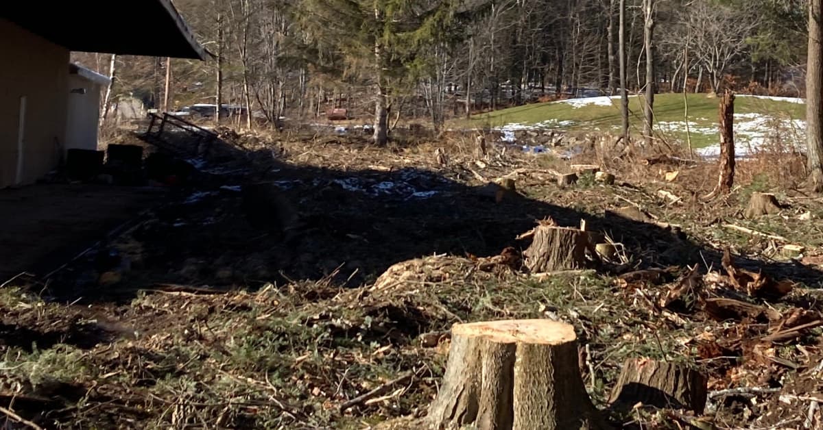 Stump Removal & Grinding in Northeast Pennsylvania