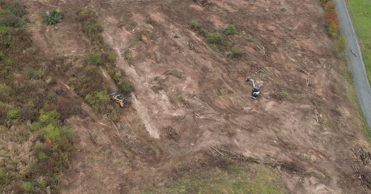 land clearing