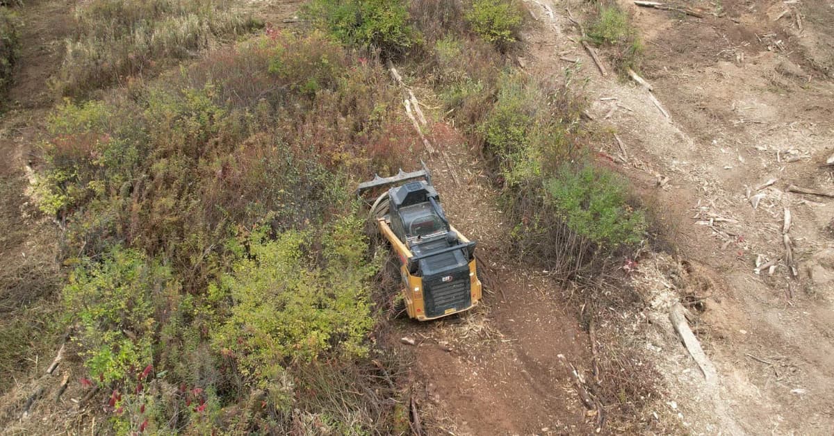 Lot Clearing in Northeast Pennsylvania