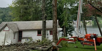 tree removal