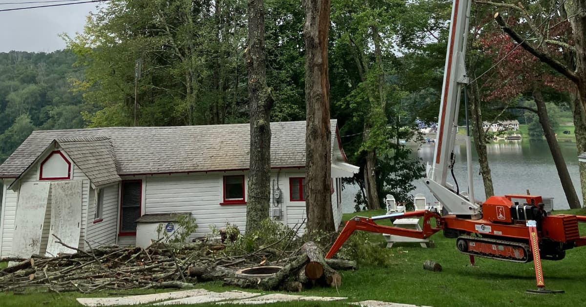 tree removal