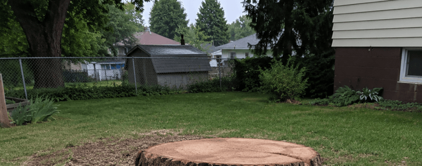Leftover tree stump in a Nicholson, PA, backyard after tree removal