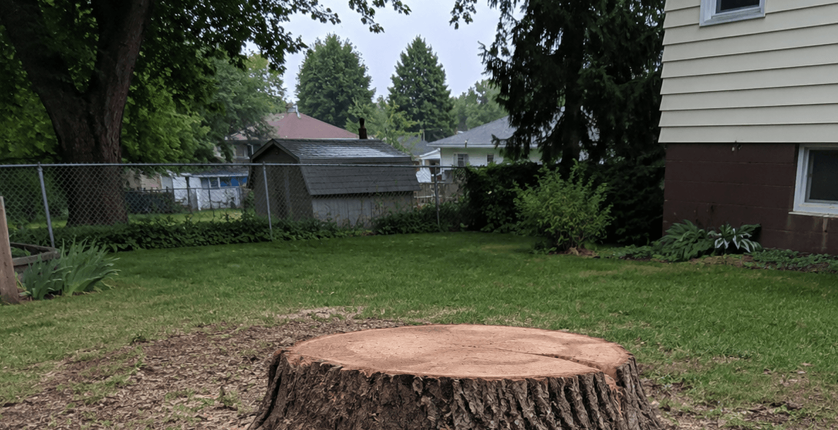 Leftover tree stump in a Nicholson, PA, backyard after tree removal